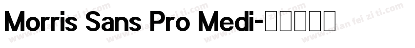 Morris Sans Pro Medi字体转换